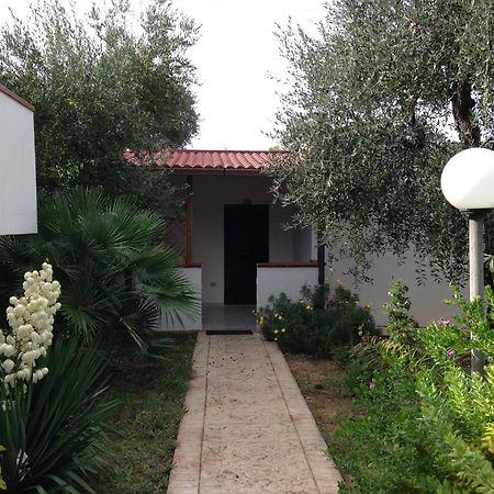Green Garden Eco-Holiday Vieste Room photo