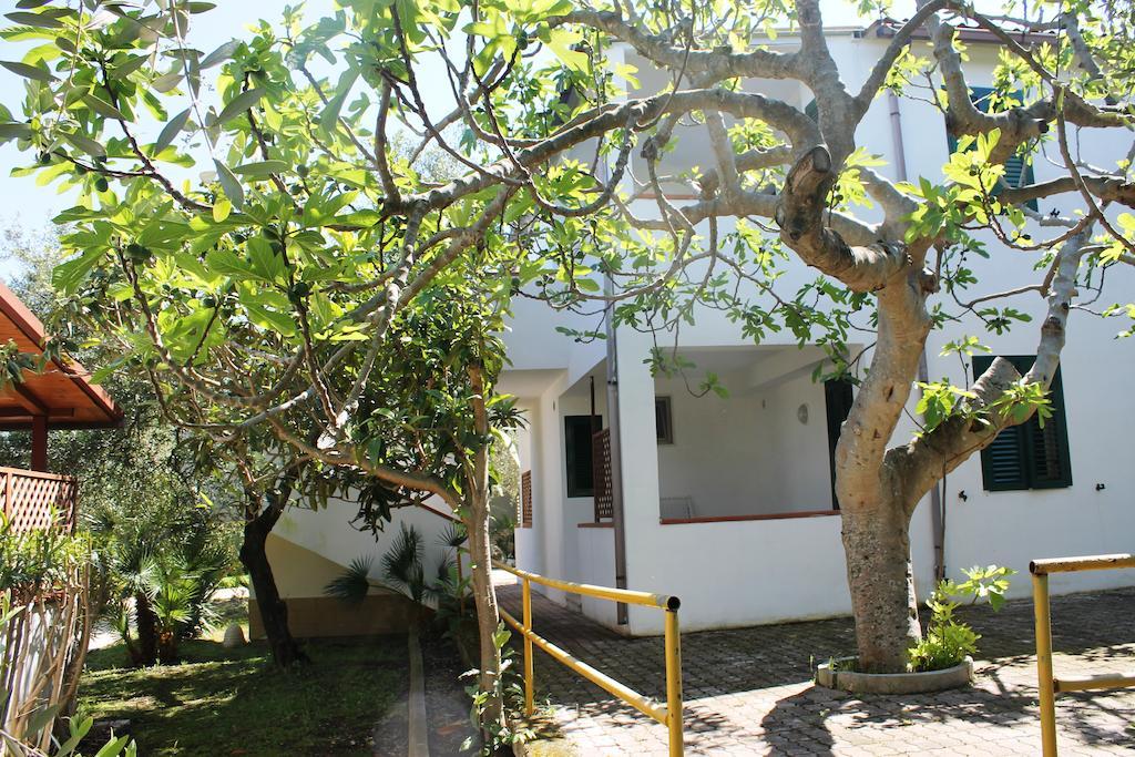 Green Garden Eco-Holiday Vieste Exterior photo