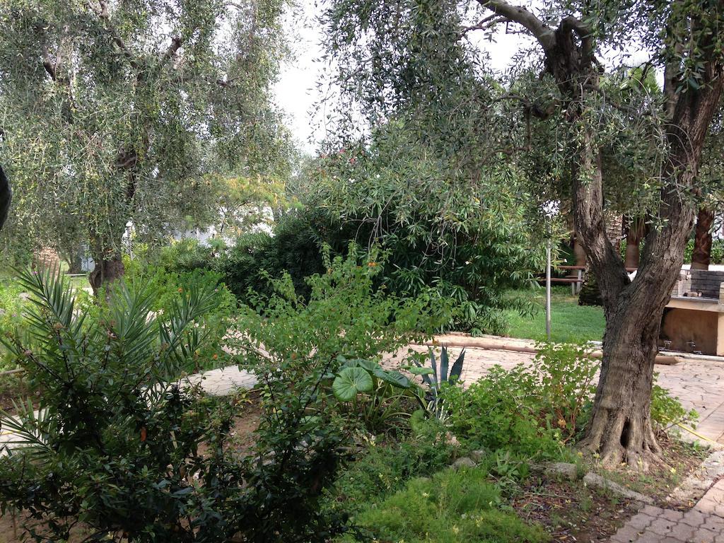 Green Garden Eco-Holiday Vieste Exterior photo