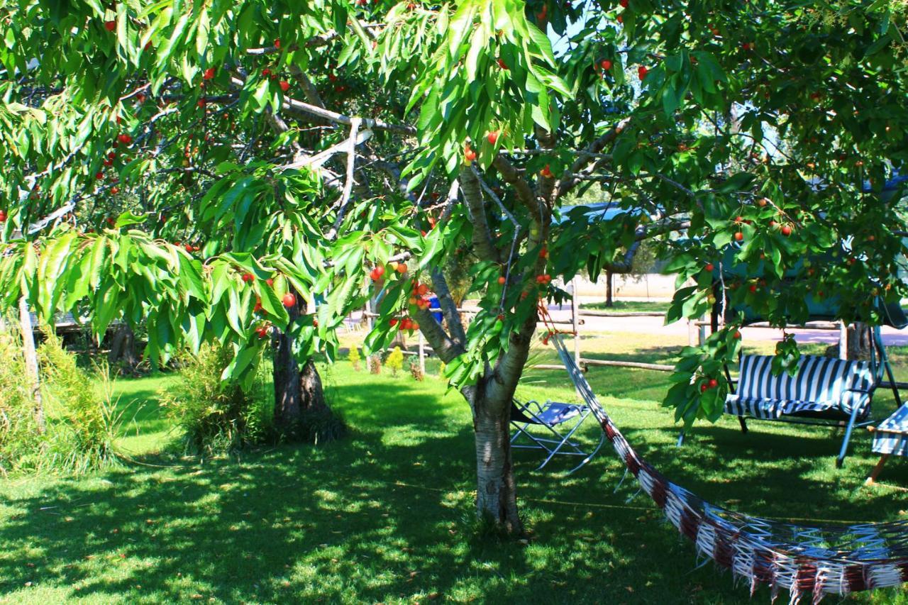 Green Garden Eco-Holiday Vieste Exterior photo